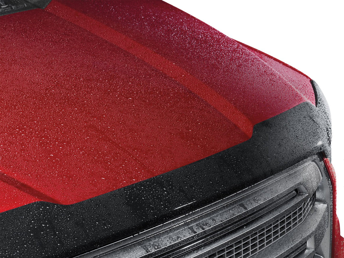 WEATHERTECH | HOOD PROTECTOR | TOYOTA/FORD/GM/JEEP/CHEVY