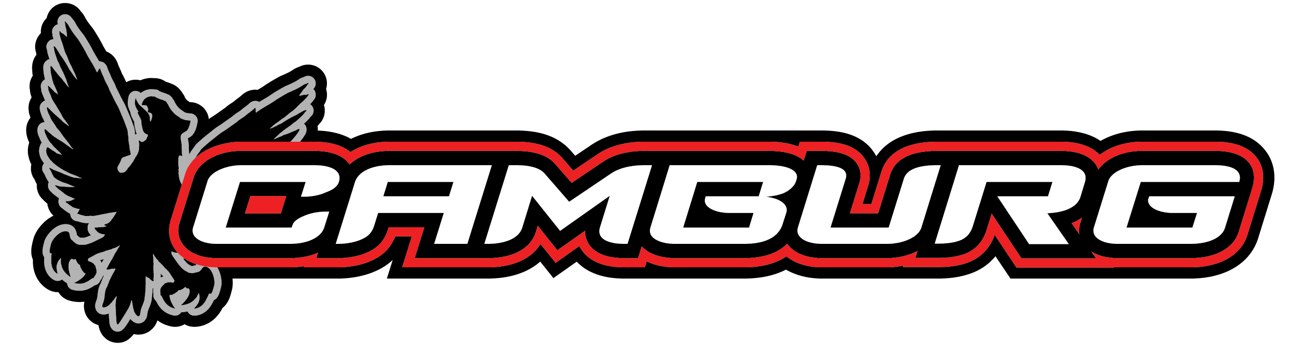 CAMBURG logo
