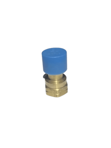 Brass Adaptor